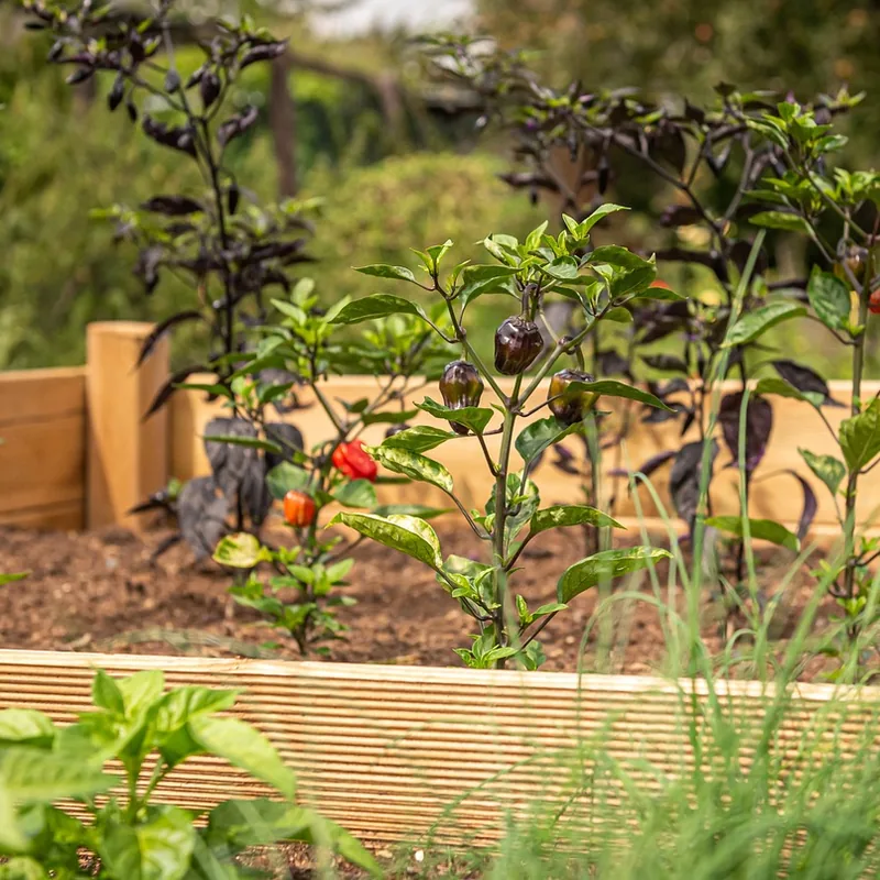 Raised garden bed ready to measure